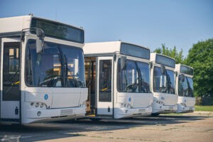 busses, public transportation, transit