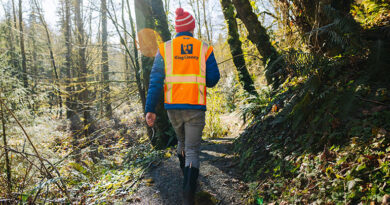 Bellevue Sewer Upgrade Earns First-Ever Salmon-Safe Certification