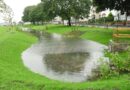 Experts ‘disappointed’ drainage regulation update