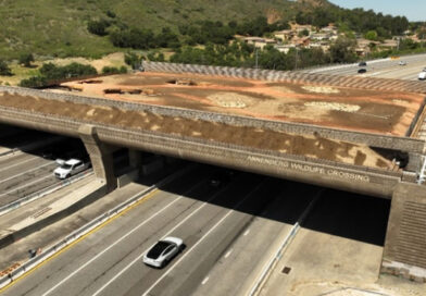 California Begins Final Phase of World’s Largest Wildlife Crossing