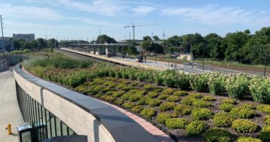The Solution to Urban Flooding? Cities Adopt Green Stormwater Infrastructure