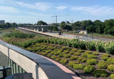 The Solution to Urban Flooding? Cities Adopt Green Stormwater Infrastructure