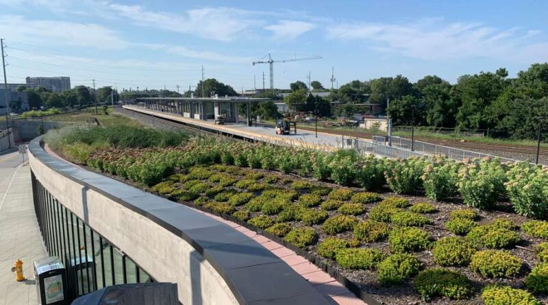 The Solution to Urban Flooding? Cities Adopt Green Stormwater Infrastructure