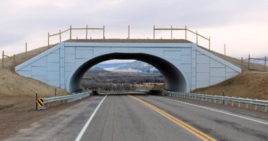 New Wildlife Overpass in Arizona