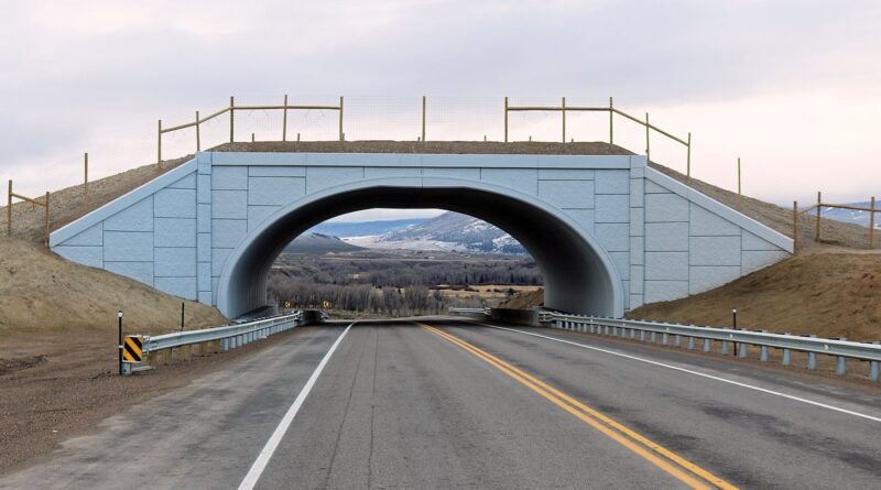 New Wildlife Overpass in Arizona