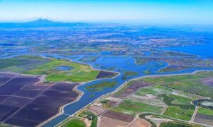 Aerial view of Sacramento-San Joaquin Delta, the subject of the State Water Project's proposed Delta Conveyance Project to increase California water supply.
