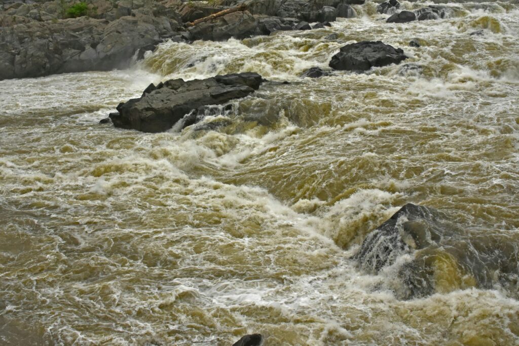 sewage spill