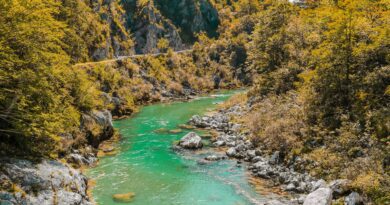 Portland approves Public Infrastructure Environmental Code Project