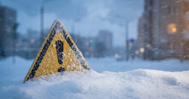 The Week the Arctic Slipped South