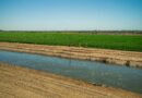 DWR announces plan to strengthen San Joaquin Valley’s water future