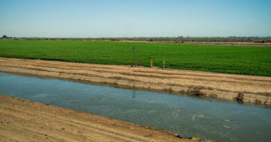 DWR announces plan to strengthen San Joaquin Valley’s water future
