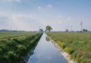 Google water stewardship