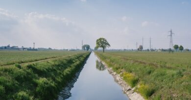 Google water stewardship