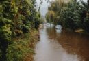 Helene-impacted states receive $159 million in disaster funding