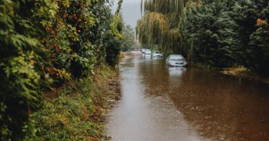 Helene-impacted states receive $159 million in disaster funding