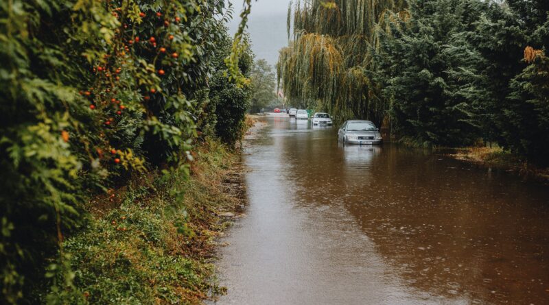 Helene-impacted states receive $159 million in disaster funding