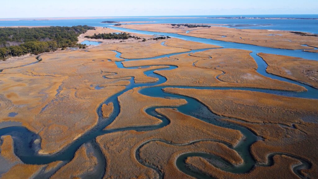 Chesapeake Bay watershed