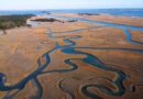 Chesapeake Bay watershed