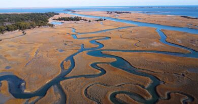 Chesapeake Bay watershed